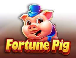 p9 bet